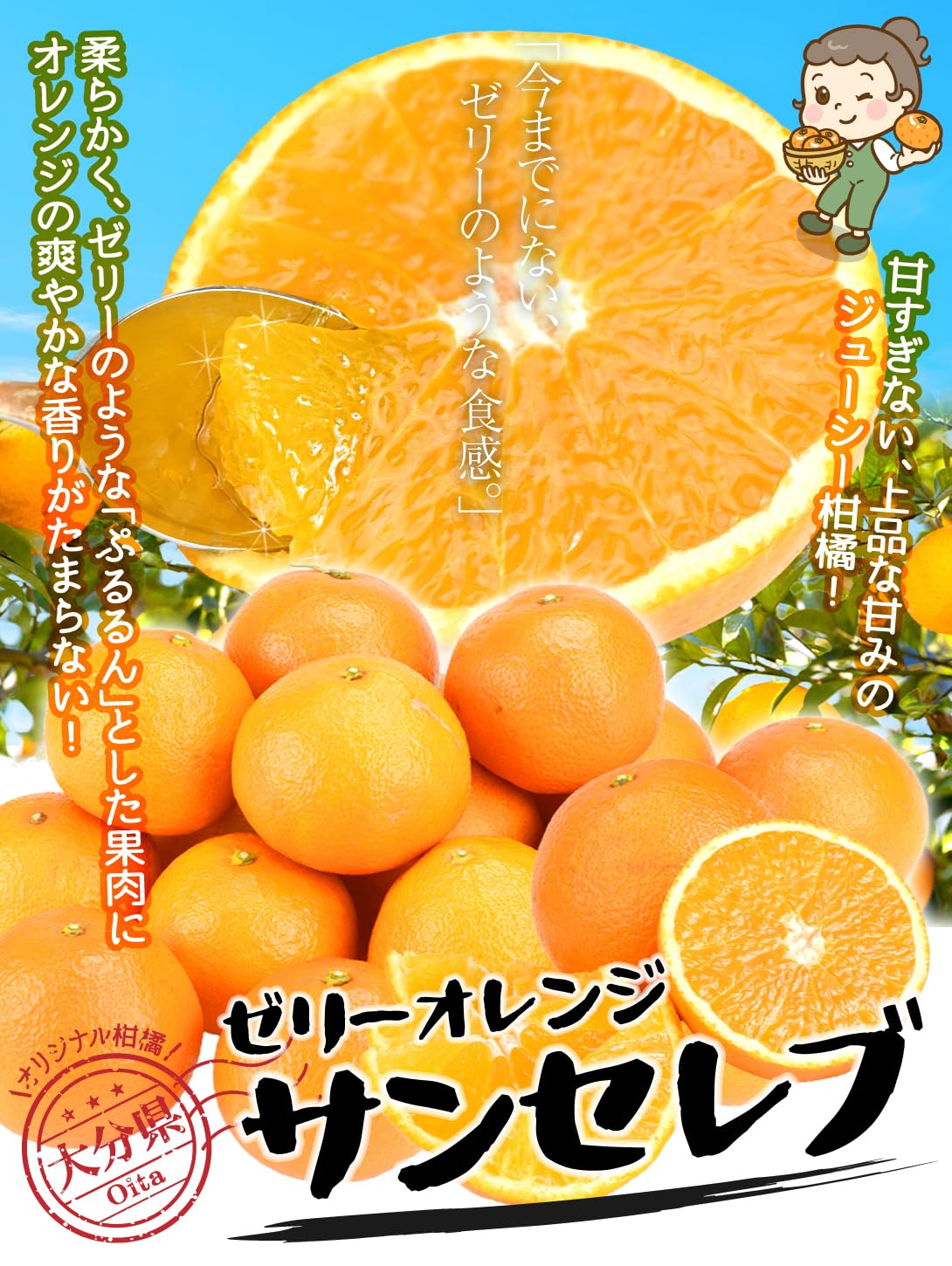 Amazon.co.jp: みかん 10kg お買得 サンセレブ 大分産 柑橘 果物